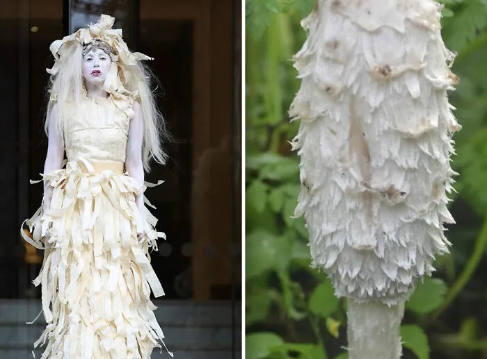This Girl Is Comparing Lady Gaga's Looks To Mushrooms, And The Resemblance Is Surprising (20 Pics)