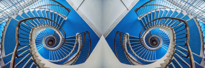 Kingblue Chameleon