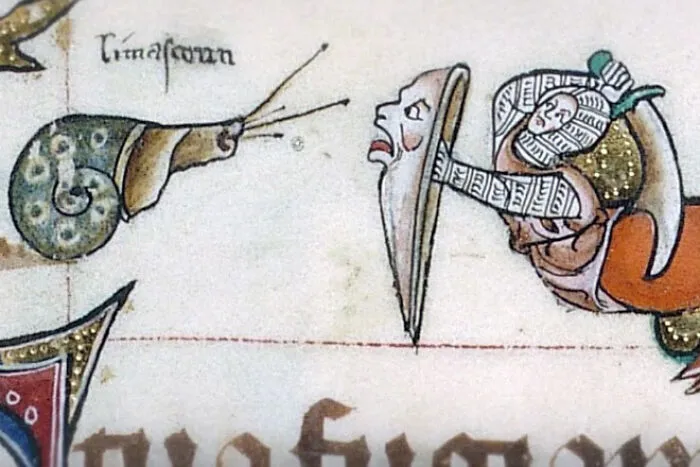 What Do They Have Against Snails?