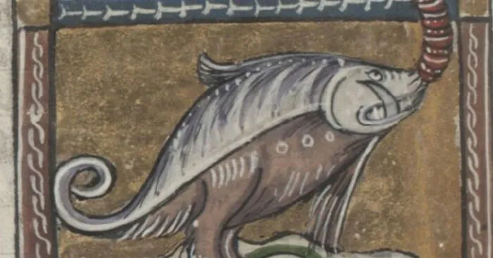 The Fish-Rino-Deer