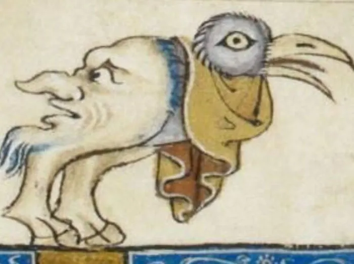 Why Are They So Obsessed With Faces On Butts?
