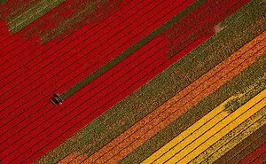 Infrastructures From Above: 17 Photographs From The Series "The Systems That Shape Us" By Aya Okawa