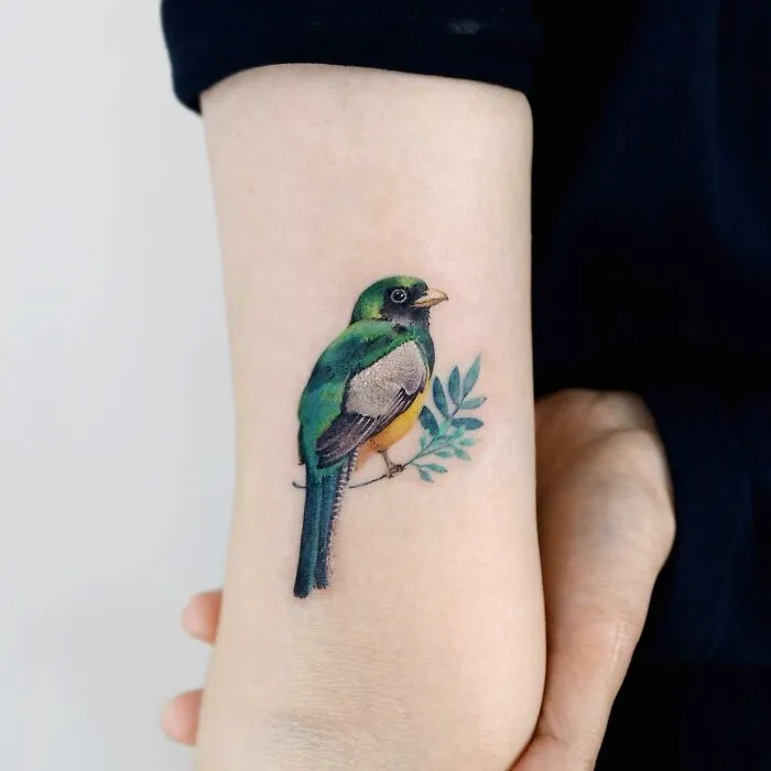 Colorful bird tattoo resembling a painting on forearm, showcasing intricate artistic detail.
