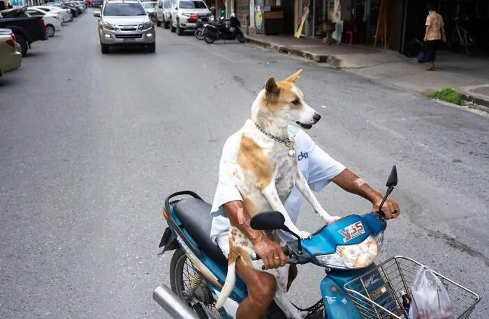 25 Divertidas fotografías urbanas compartidas en esta cuenta de Instagram con más de 500000 seguidores