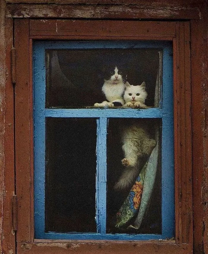 This Instagram Account Features Amusing Street Photographs And Has More Than 500 Thousand Followers (30 Pics)