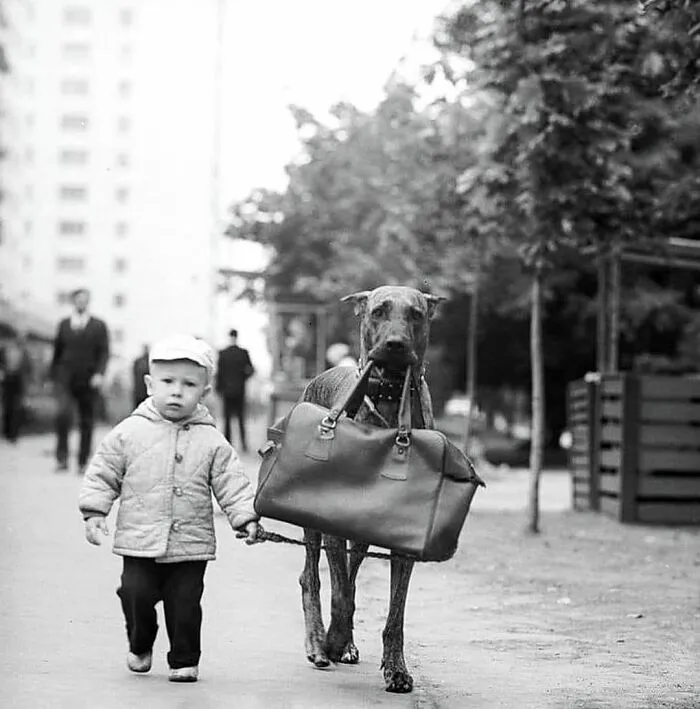 25 Divertidas fotografías urbanas compartidas en esta cuenta de Instagram con más de 500000 seguidores