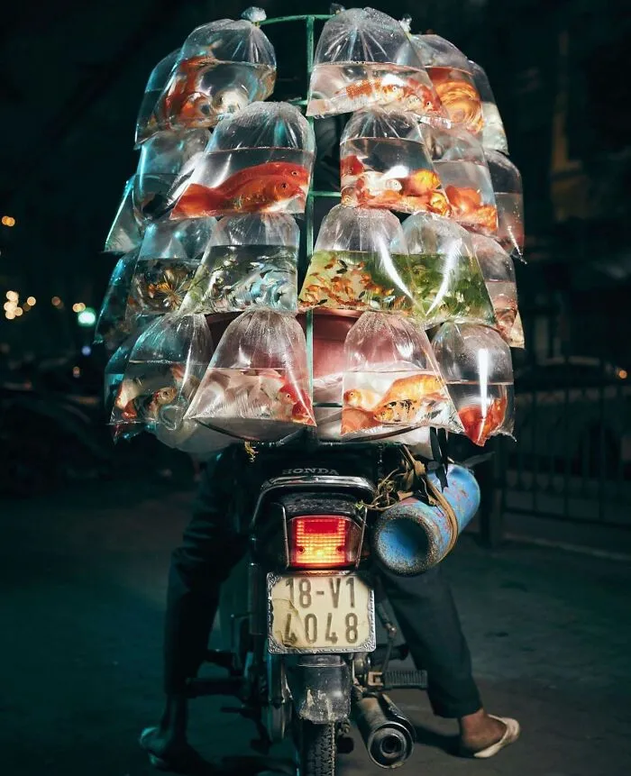 This Instagram Account Entertains More Than 500 Thousand Followers Daily With Its Street Photos