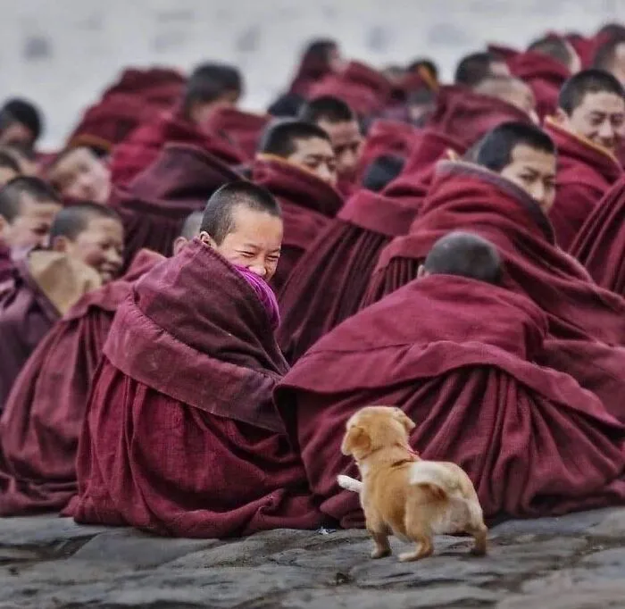 This Instagram Account Features Amusing Street Photographs And Has More Than 500 Thousand Followers (30 Pics)