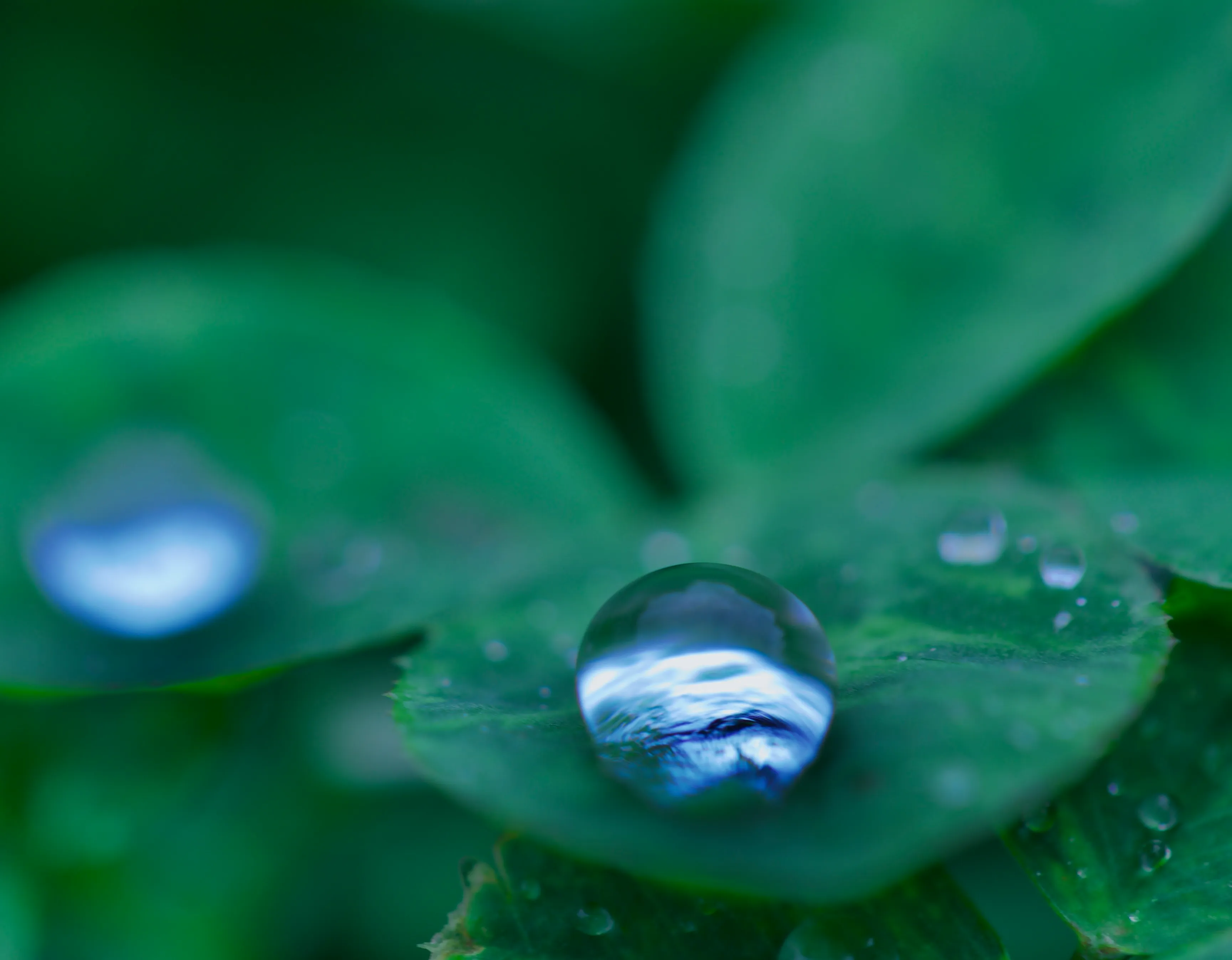 Waterdrop World