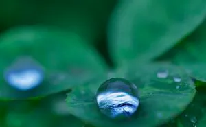 Waterdrop World