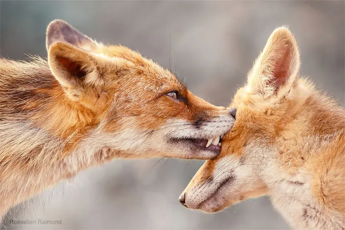 An Eye-Kiss