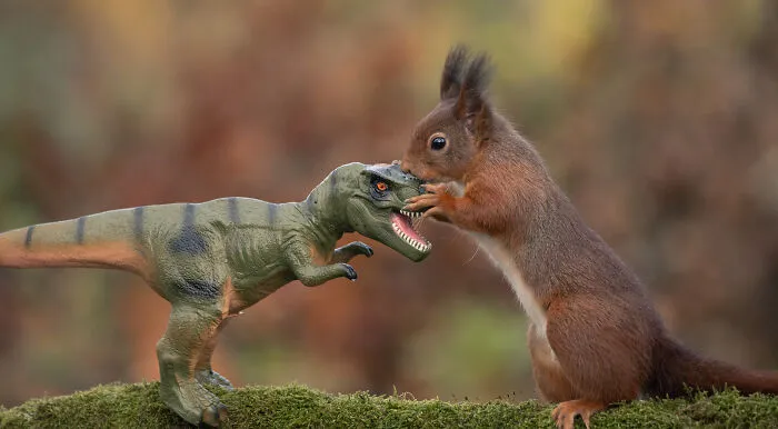 19 Pictures Of Squirrels Interacting With Dinosaurs Taken By Me