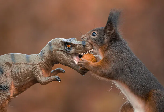 19 Pictures Of Squirrels Interacting With Dinosaurs Taken By Me