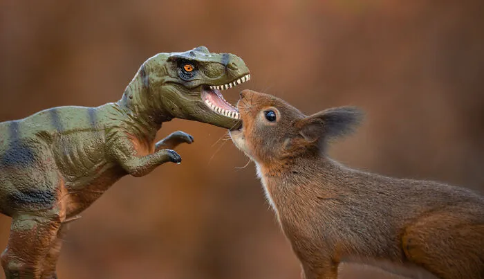 19 Pictures Of Squirrels Interacting With Dinosaurs Taken By Me