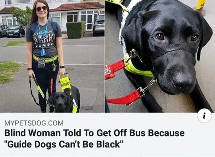 Rosa Barks
