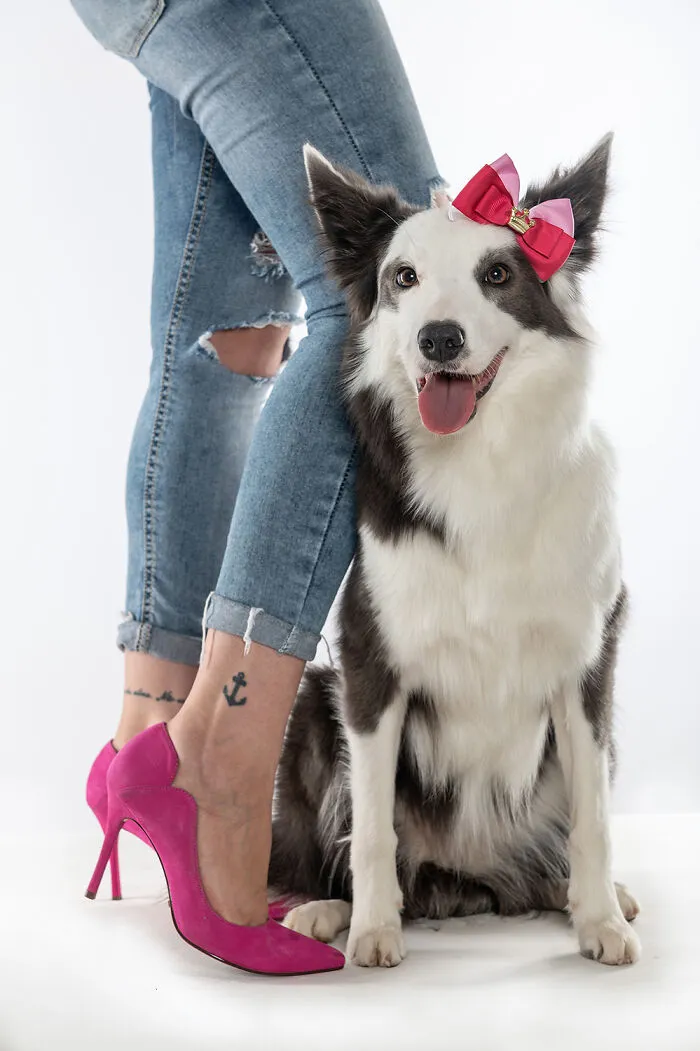 We Love Pink Color