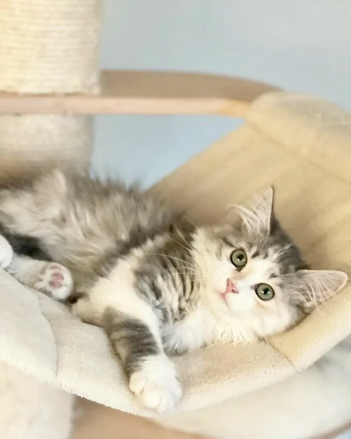 Milly, Is’nt She Cute? 😻🥺