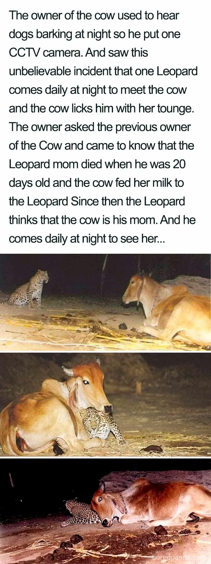 That Is Sweet