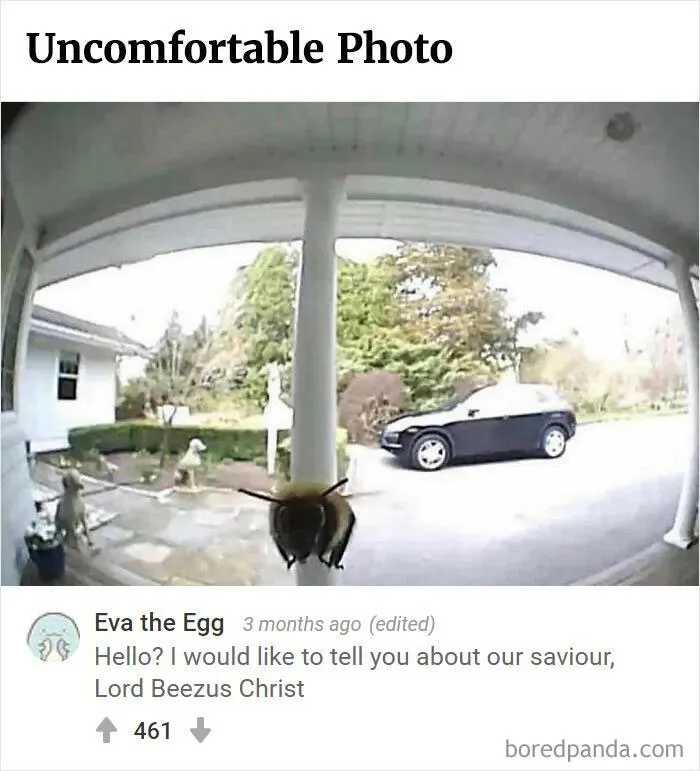 "Bored Panda Best Comment Awards": 50 Funny Times The Comments Made Our Posts So Much Better (New Pics)