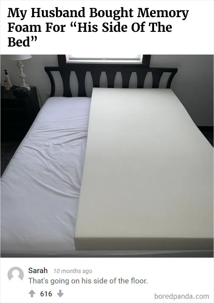 "Bored Panda Best Comment Awards": 50 Funny Times The Comments Made Our Posts So Much Better (New Pics)
