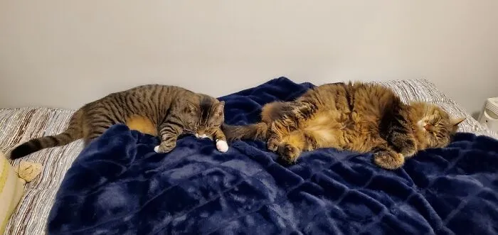 Max And Caspian