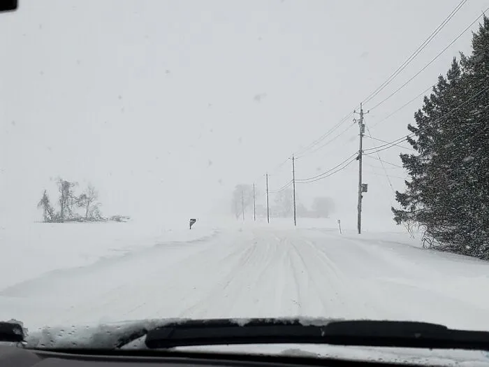 First Snow After Moving Back To NY. It Was Very Pretty.