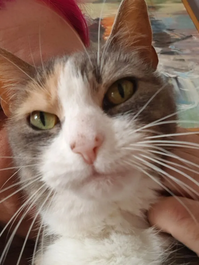 This Is Sally Sausage. She Kills Small Rodents.