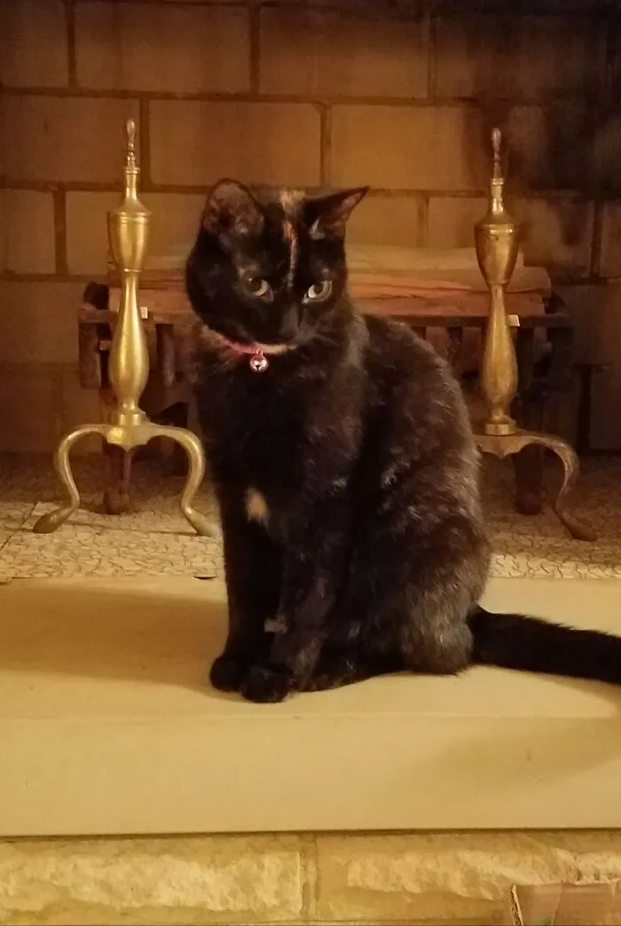 My Beautiful Cali