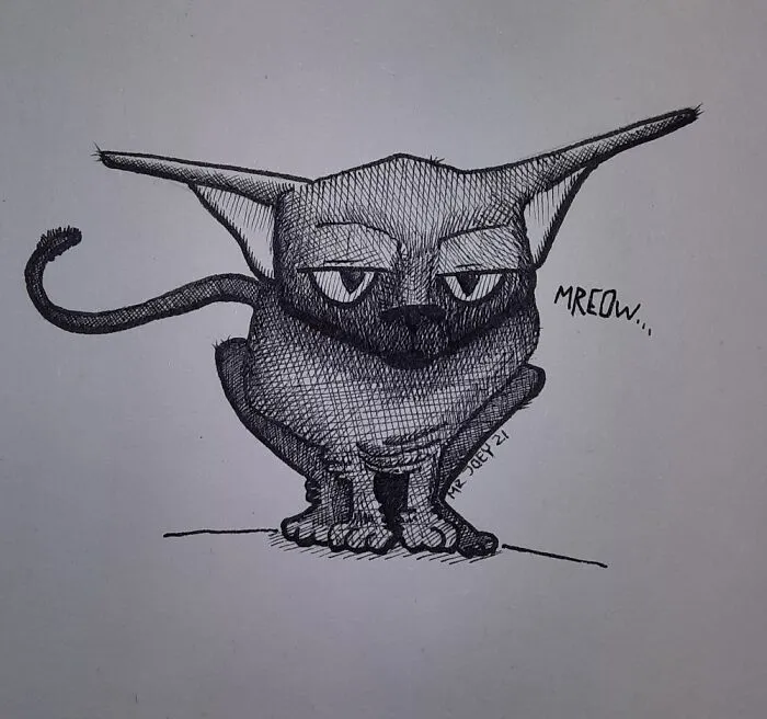 Just My Sphynx Cat, Jennifer.