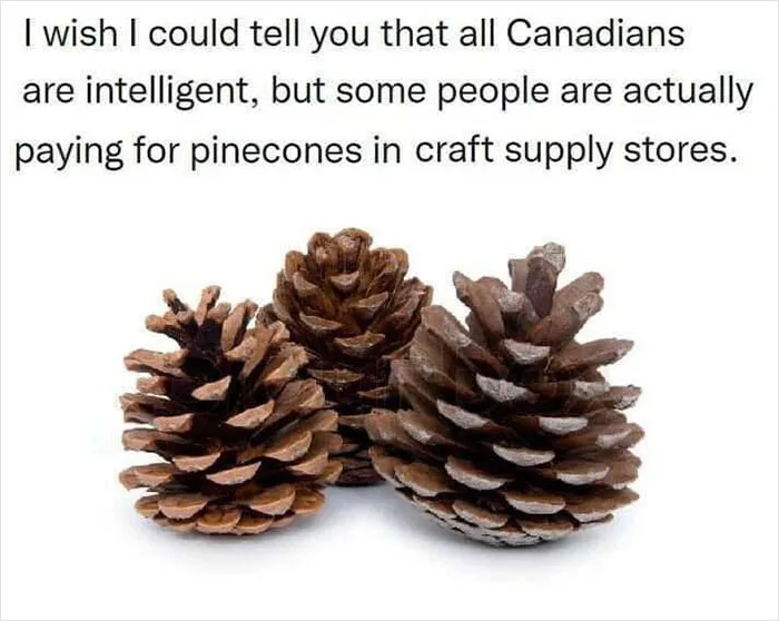 35 Canadian Memes That Are Making People Crack Up At The Country’s Stereotypes