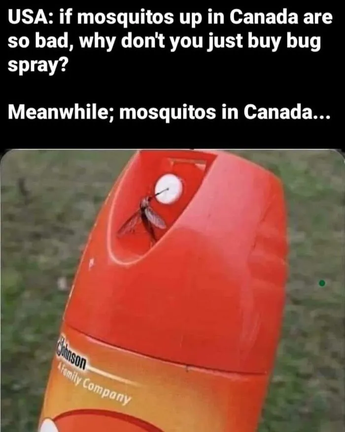 35 Canadian Memes That Are Making People Crack Up At The Country’s Stereotypes