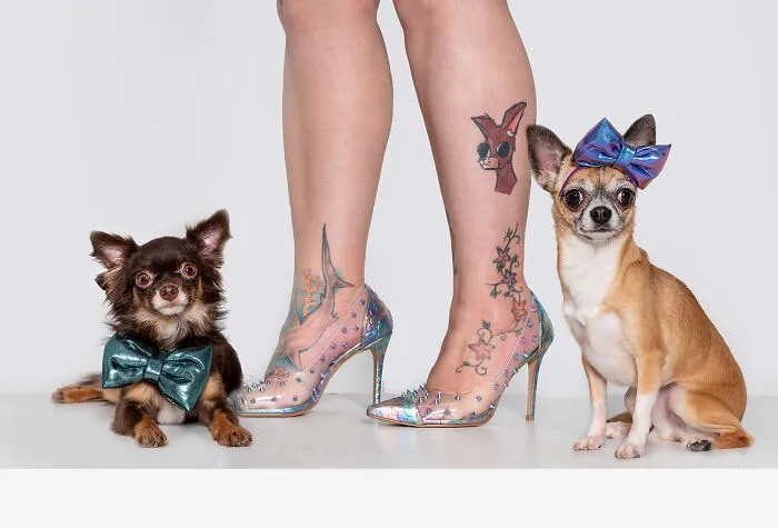 Dogs, Bows And Sparkles