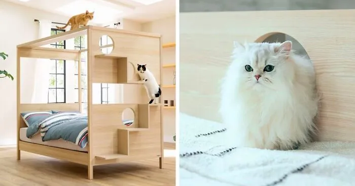 Unusual Furniture: This Interior Company Combined A Bed With A Cat Tower
