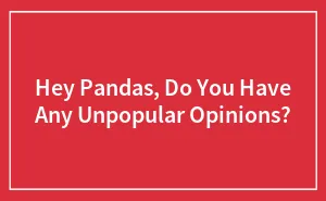 Hey Pandas, Do You Have Any Unpopular Opinions?