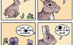 "You Are Being Rescued, Do Not Resist": 40 Of The Best Ominous Positivity Posts From This Online Page
