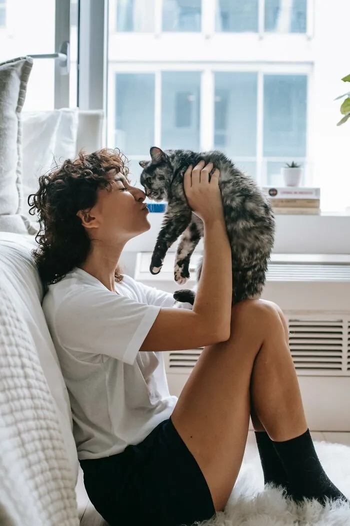 20 Datos sobre gatos que quizás nunca habías escuchado