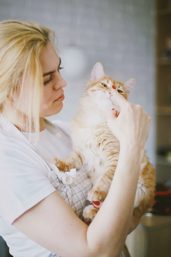 20 Datos sobre gatos que quizás nunca habías escuchado