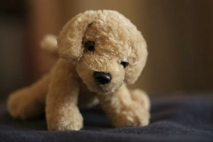 30 Of The Dumbest Lies These People Thought Were 100% True When They Were Kids