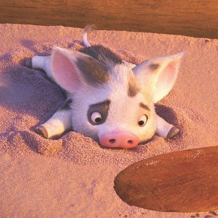 Pua From Moana
