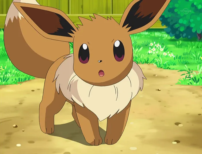 Eevee From Pokemon