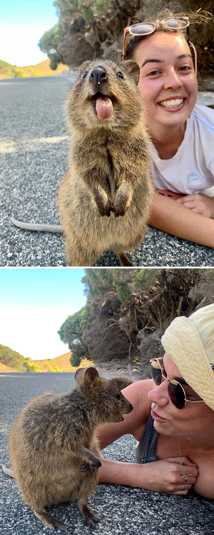 Look At This Little Fella I Met