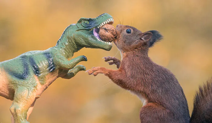 19 Pictures Of Squirrels Interacting With Dinosaurs Taken By Me