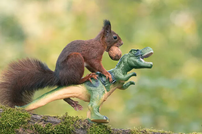 19 Pictures Of Squirrels Interacting With Dinosaurs Taken By Me