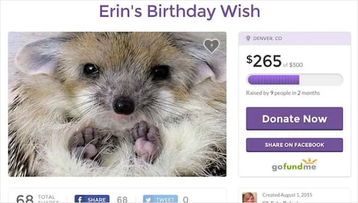 A Fund To Help Someone Adopt This Creature