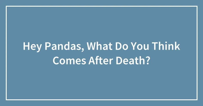 Hey Pandas, What Do You Think Comes After Death? (Closed)