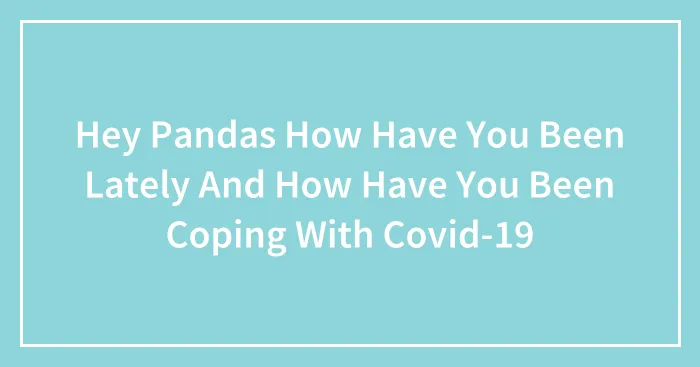 Hey Pandas How Have You Been Lately And How Have You Been Coping With Covid-19