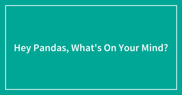 Hey Pandas, What's On Your Mind?