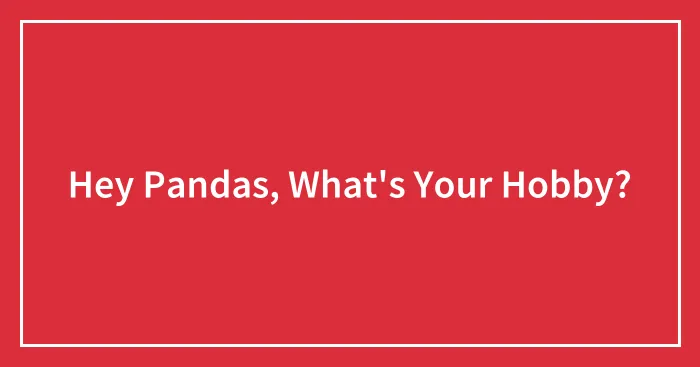 Hey Pandas, What's Your Hobby?