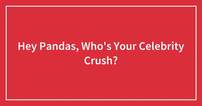 Hey Pandas, Who's Your Celebrity Crush?