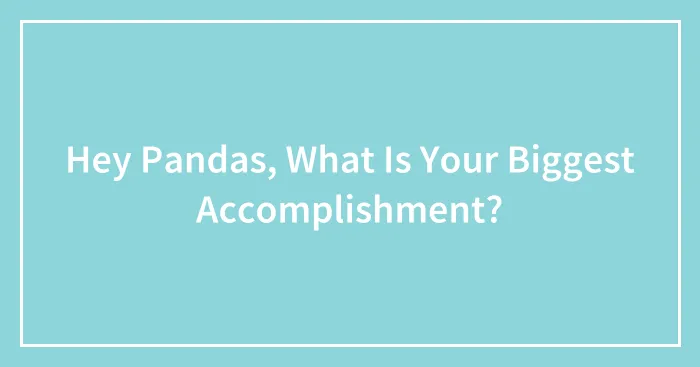 Hey Pandas, What Is Your Biggest Accomplishment? (Closed)